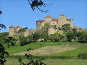 Castle between Cluny and Macon